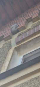 Likvidace obtížného hmyzu